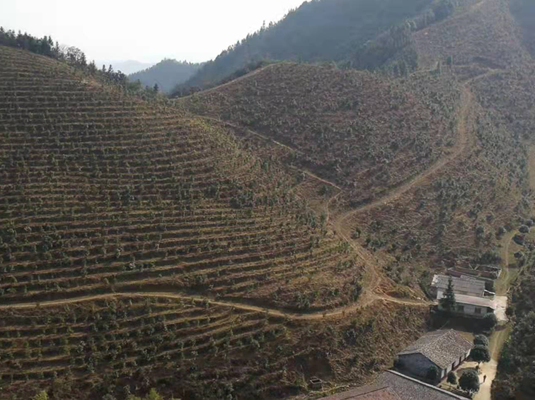 浏阳市四品堂油茶种植专业合作社