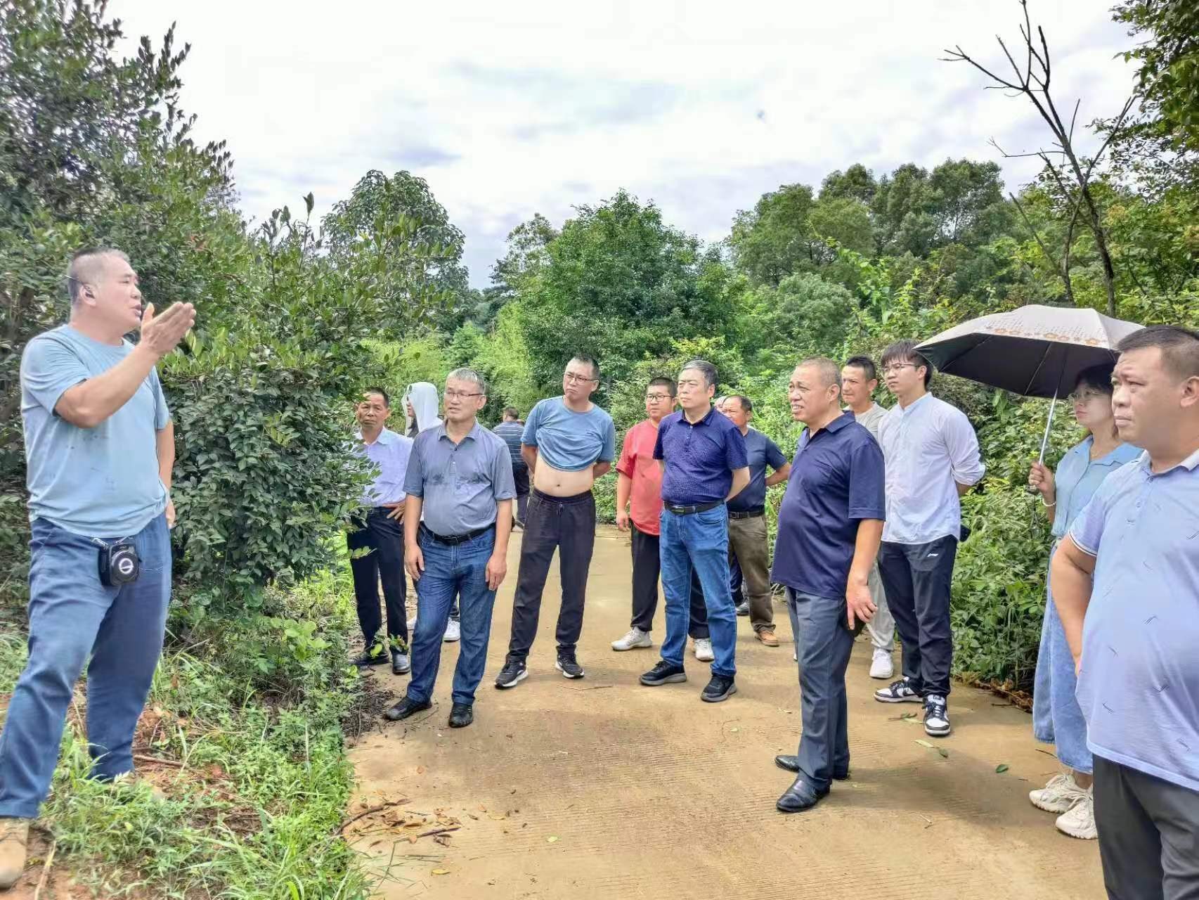 2023年首期油茶栽培管理培训在醴陵召开